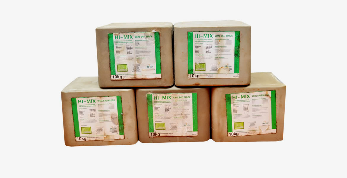 Hi-Mix® Salt Block (Mineral Salt Lick)